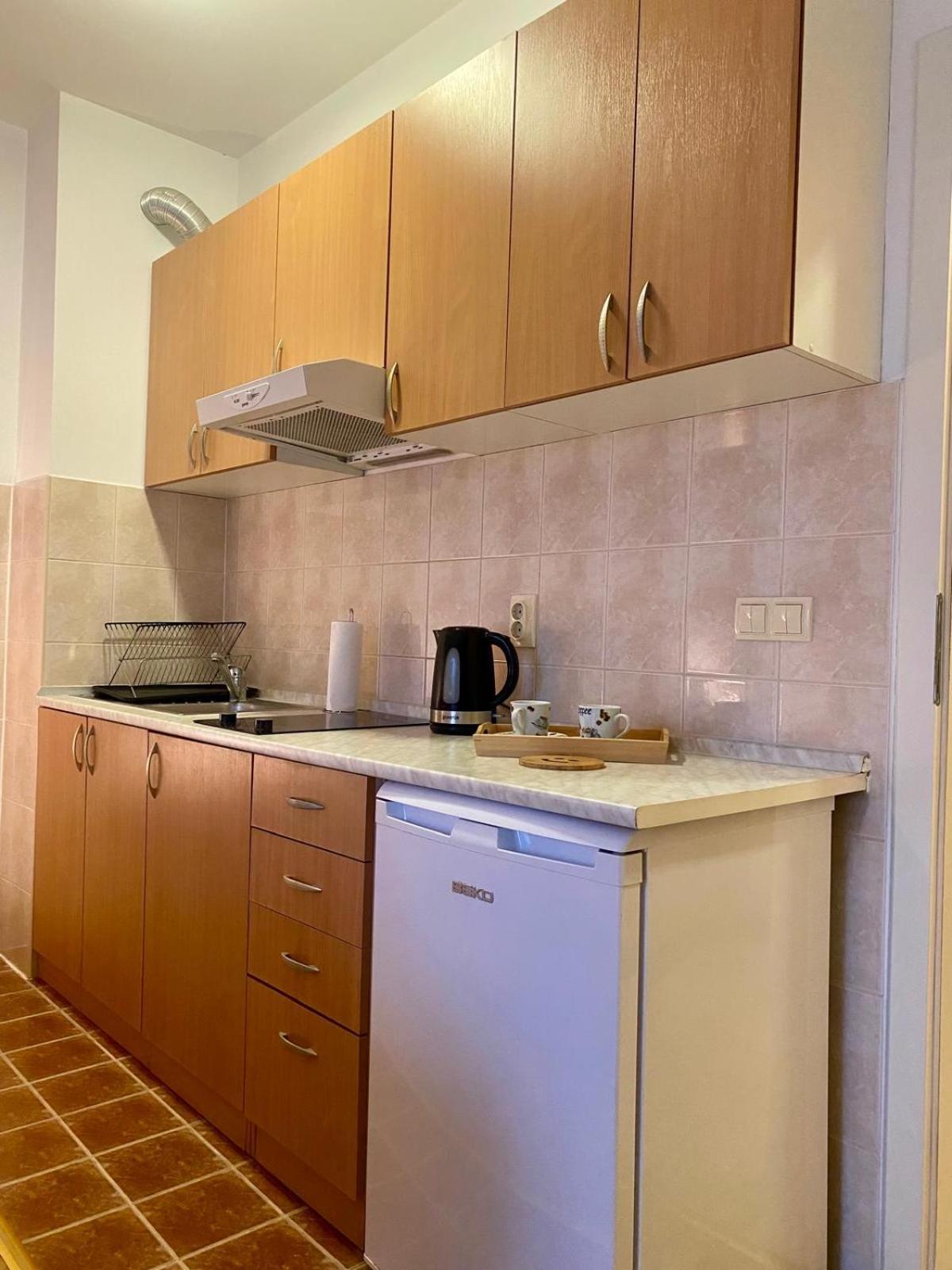 Apartment Victor Баня-Ковиляча Экстерьер фото